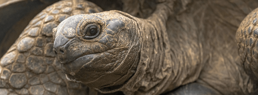 01ec8c48ebd6e9305ff34a36eca367529653147d