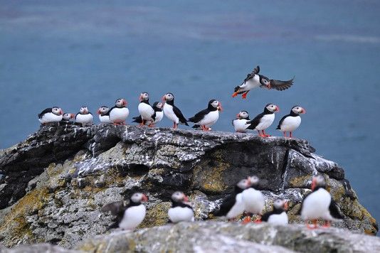 030cb9fd51b49e11156de2213eeebfb1151d394e