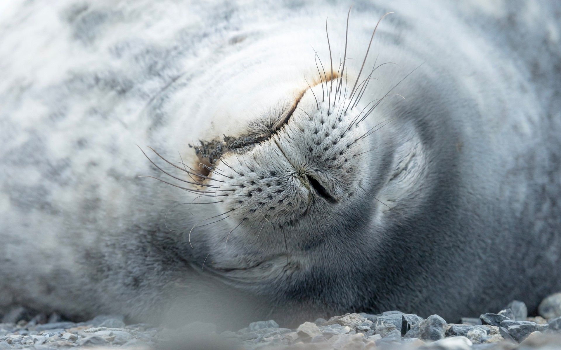 0527f44cf2a1a934a3cbc08dc2600a5b3350d5b7