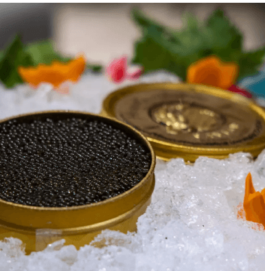 080bc843b03ebfa62553a8dc3d30c1d02555363c