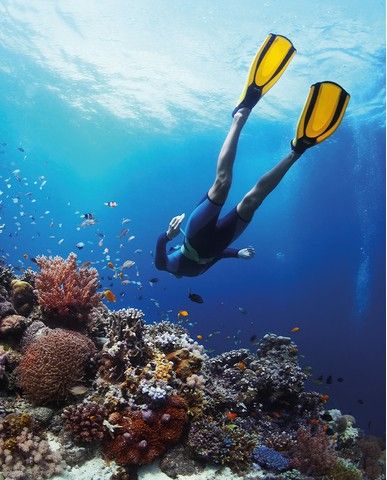 0931f35c06a6b377dd42ede5e74fd6fdf91d7f09