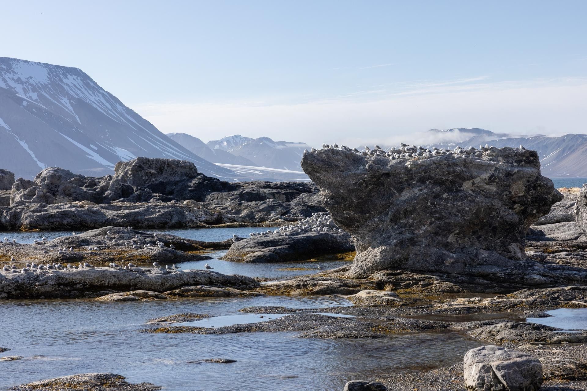 0af6ae0026e6a6261410c58e6bb0a2d9f1c02a3a