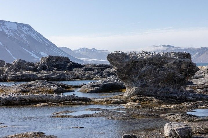 0af6ae0026e6a6261410c58e6bb0a2d9f1c02a3a