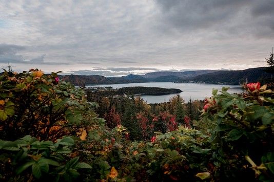 10cd7d0a4d6785a3c7326e026506720c5a2bc02a