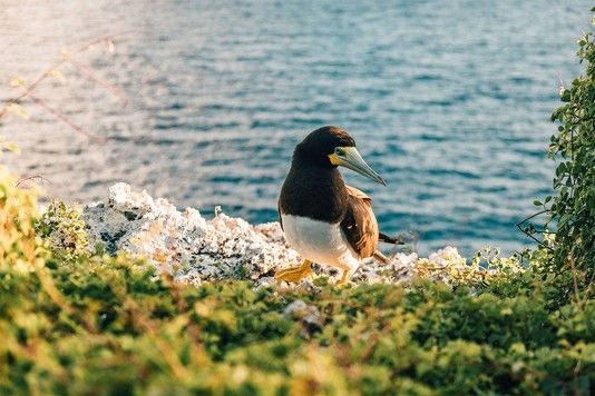 1266d2215389c13321e3d8e37fe734c00d9b7976