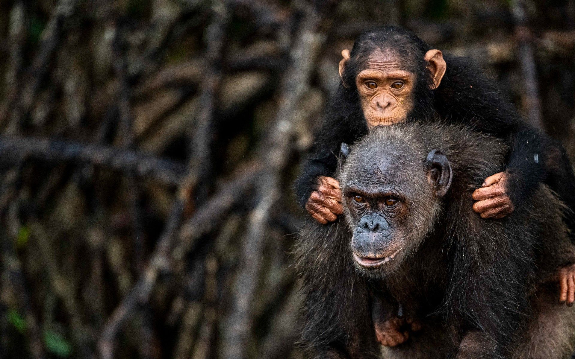 13e27486ff013bf873fefb0b69e38b7ec712272f