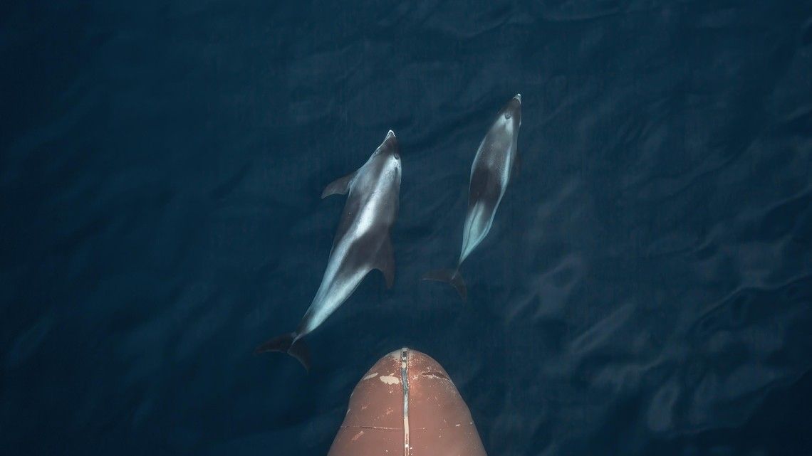 16a10f5da1d211d614ef80a9efcc44dba298494d