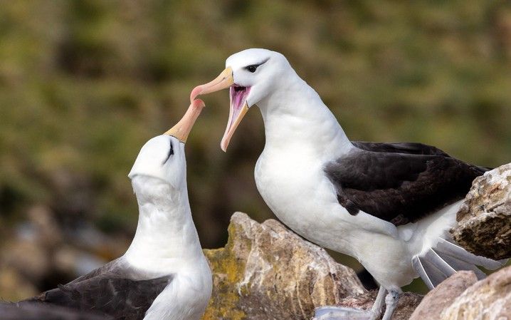 16c4a8e103fab79766d72dd4dd1505dcac7aa57f