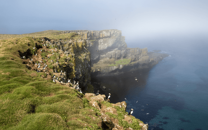 19da68b8a4a37316061e20ea0b82c6d220434331