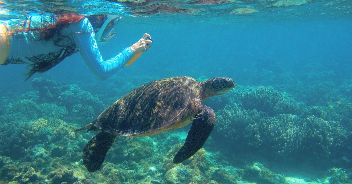 1ad11dd4019247c26d01fecafbc2027ac9cd4876