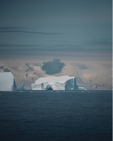 1b1c6e1008f1ef3d65a91e37a4486e96a1b29733