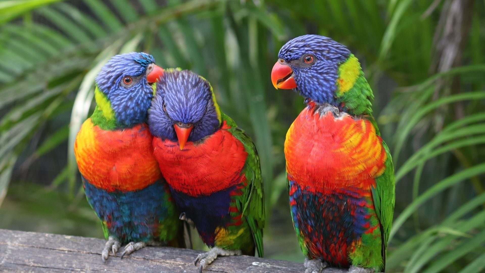 1eb0cd16342fef9d4f3f255045bce80e89c60354