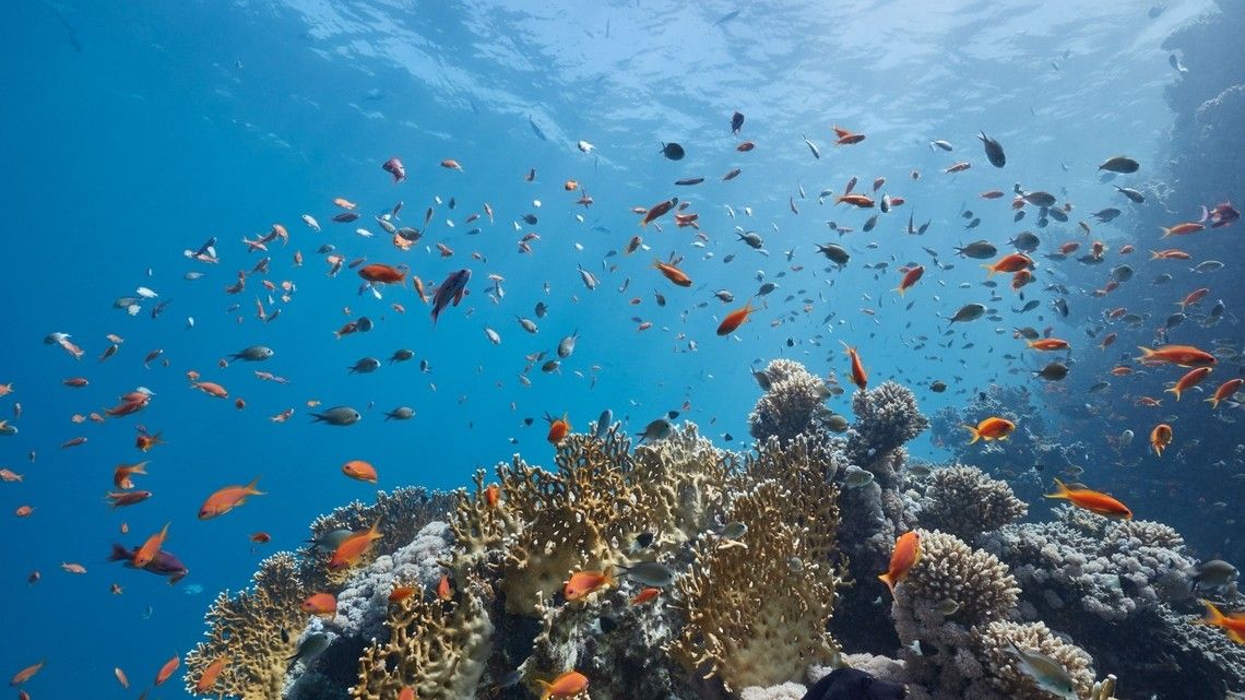 1eb64fb436825cb5f2519ab0c38b17b392153191