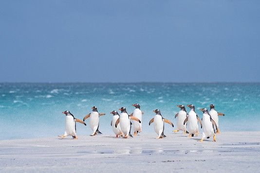 21518669e8ed7902276026ce1253a030f52abc8f