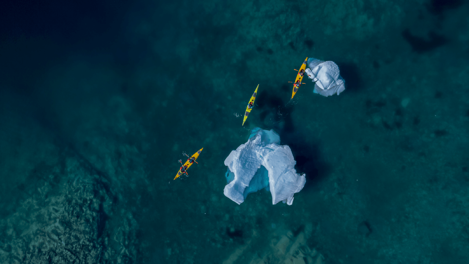 2173e73824d97ff99b629d8fbdc42a4ae877a12d