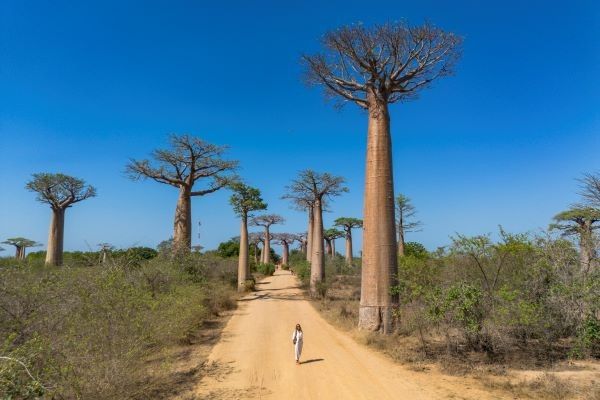 22ec86c1c24cc5b0dfb5316c95b49db0d01d1f75