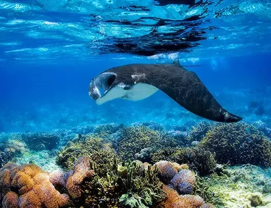 23ec4b8d6c83a56107a53739d9ba50f52d35e041