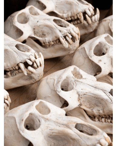 25aed5606225e8ef1db540c09a6b8823520f6bec