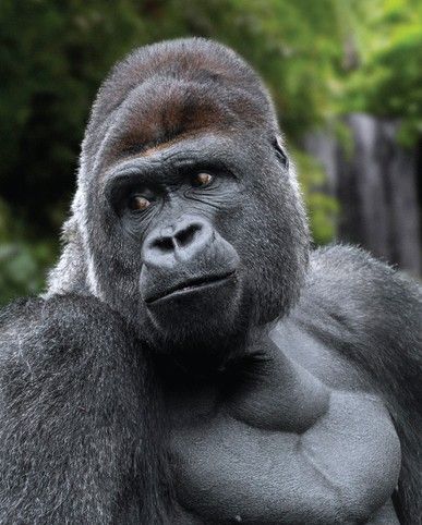 273da955421b508b010b4ae0bf81b5ebeb8dc632