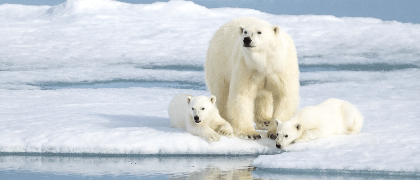 2871b0c39899718f14f3824945869e9d9f8c53fe