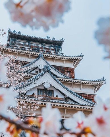 292edcbfb84001e421b9c669b9dcfc675980ba94