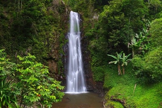 2bb021fec354a81c255fc614c231a633a27fd550