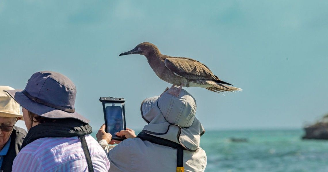 2bec6f9a6eeb6bfe4efb6926a6ec8b4b459ea4fb