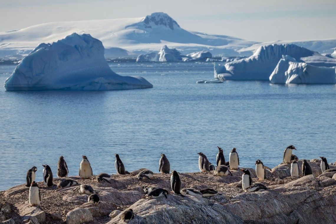 2ca7479bc452c8daca32ef3dd70fdc590862889f