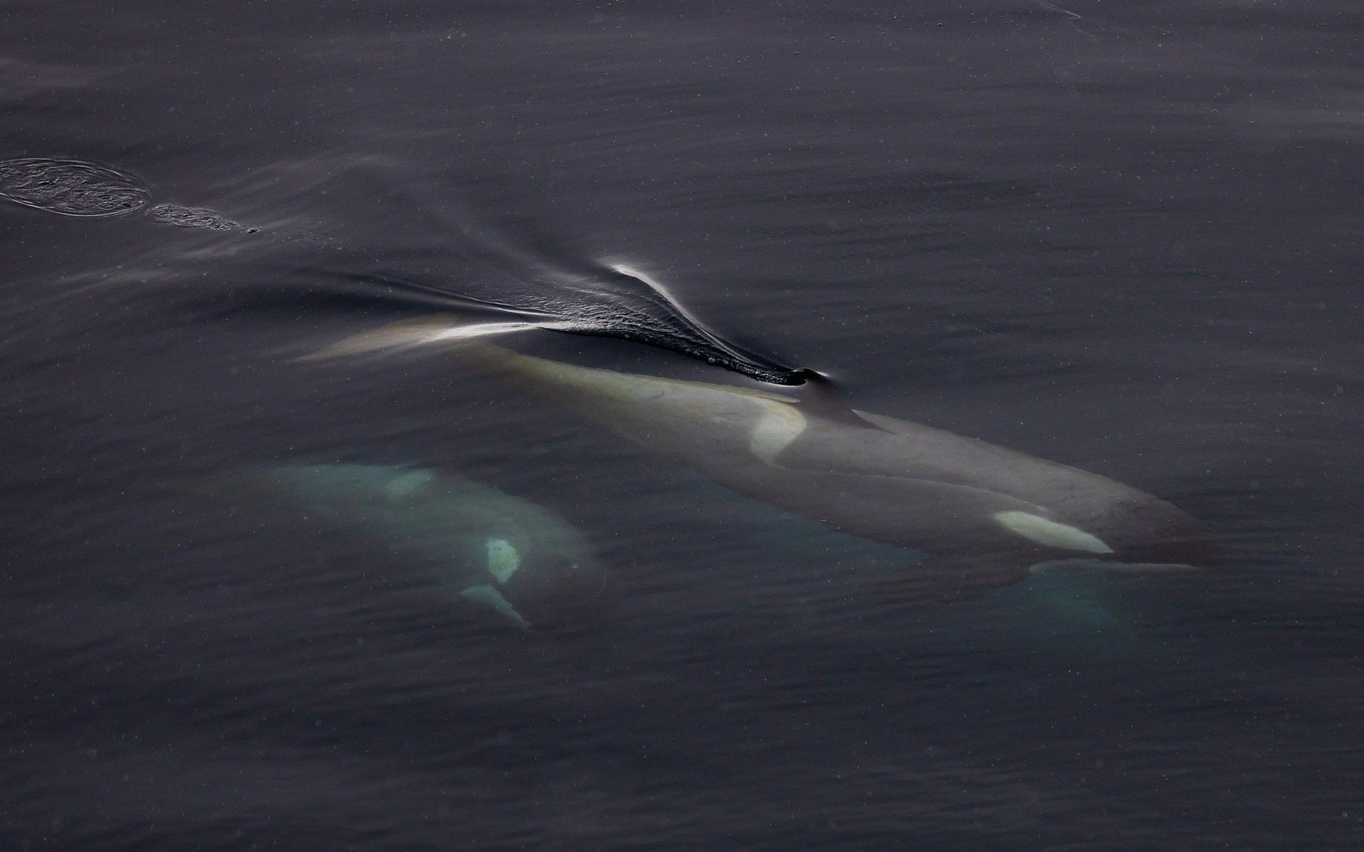 2d7a4b157032fbd162b0516ffb817208b11b92ce