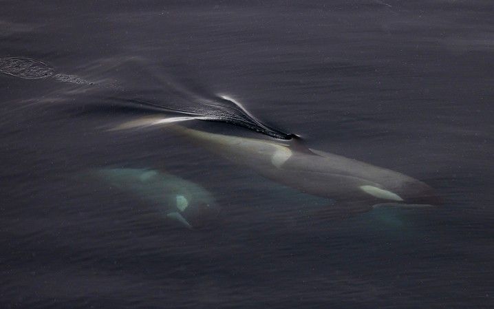 2d7a4b157032fbd162b0516ffb817208b11b92ce