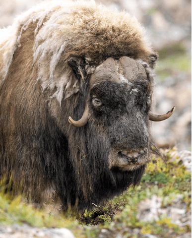 32cabe0bf95e80e740319c2cc21508884c3cb549