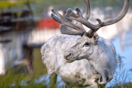 34d067f482fae05f5587ac3c0eb09e5ee8d3e0cf