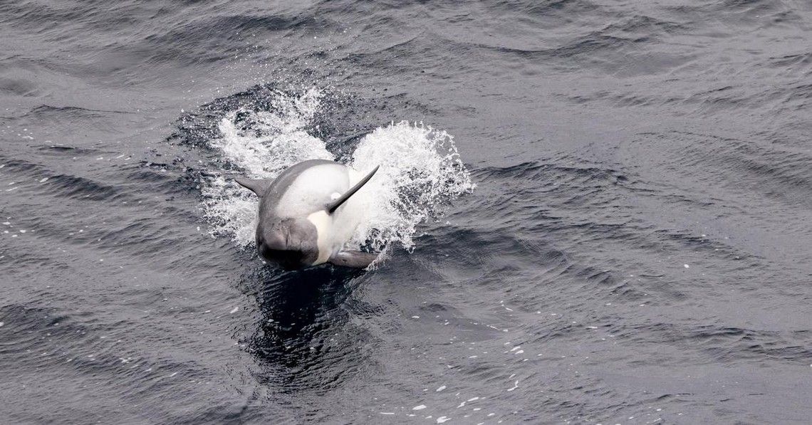 363073039debefe2f3ba3a50a9bf63155869e034