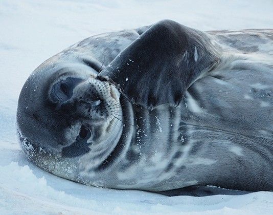 3f35b8936a87ba28b22a23b56e7c7a3be9d21d63