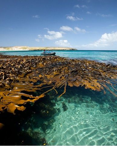 43281e62c17dd91cb06c047893c15f3c933f3882