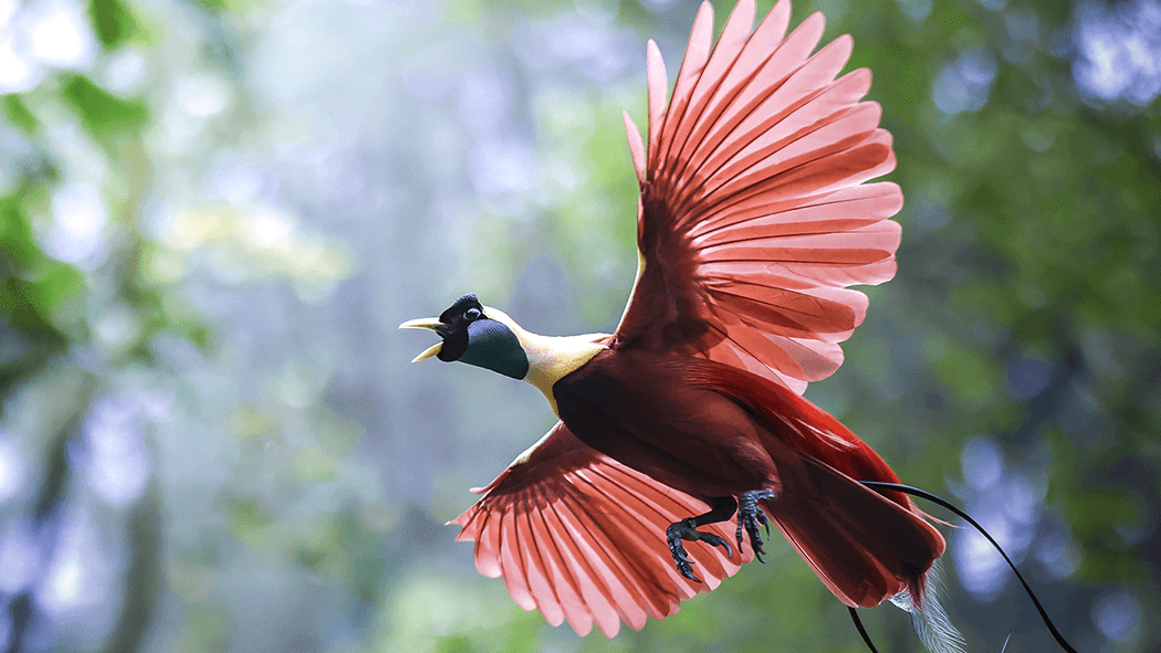 44cfc6104d257384717eccf0b204ad54d7e8a6ab