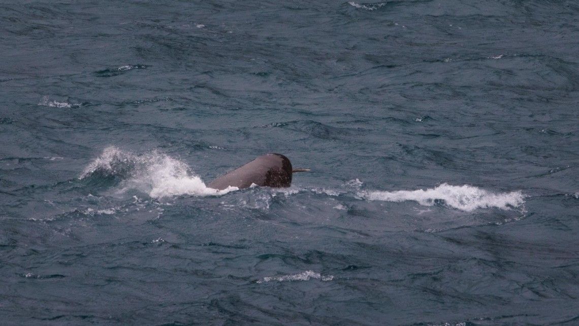 4604f4bd9b94da12e4a380a8d54dfc3070acabc8