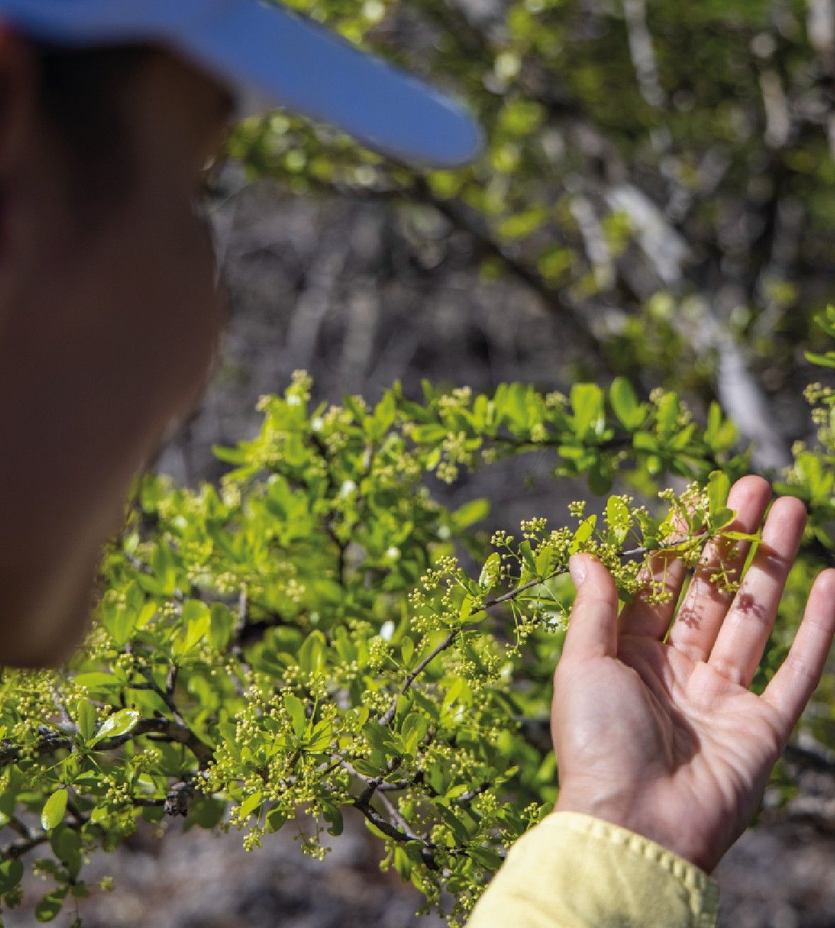 4650e34f1033c0ec95e1ccc808275b9c25a9ed1c