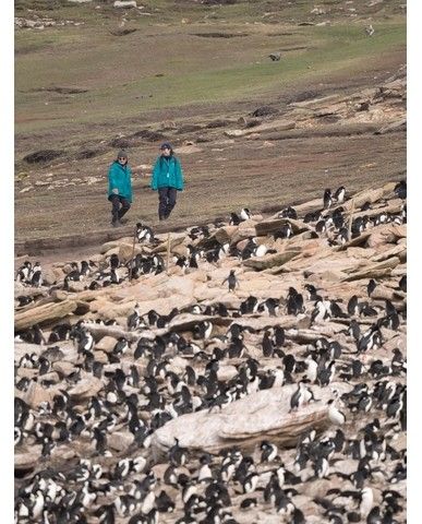 4657bdc6096c643112749ba3d14f1353f4535a11