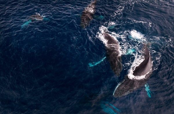 47c1a325ea67af60f94d447d941b8d6082bef0b7