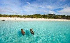 4e32c22bcaa9aa169d4232a26124b4a9ad3117bb