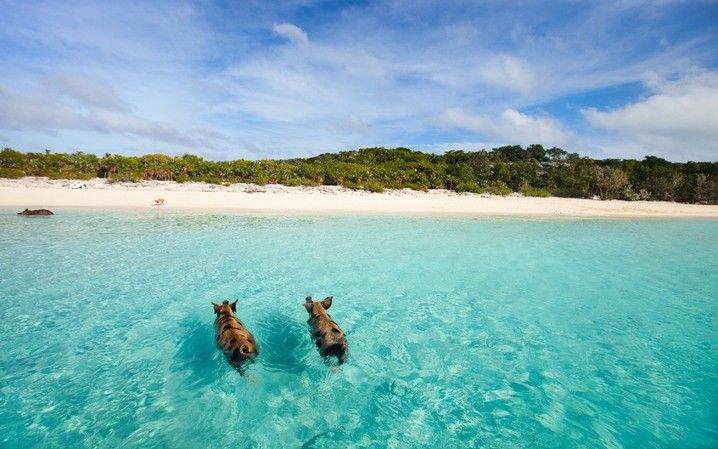 4e32c22bcaa9aa169d4232a26124b4a9ad3117bb