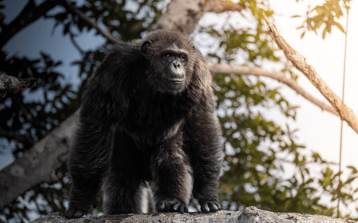 4e514e372a3720d76fc10adce127118730aa21a1