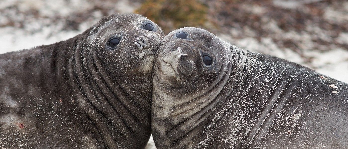 506a15be0adeaff3c546fc5b0274c61a26aae939