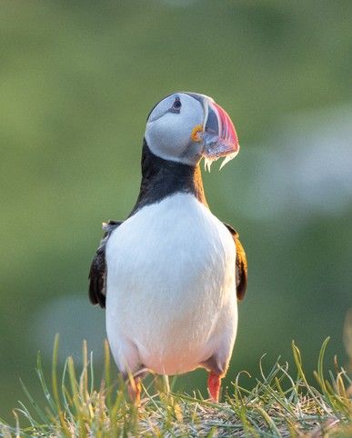 5088f4cc4484fcaaf20c7a6532cc110ce0de5b01