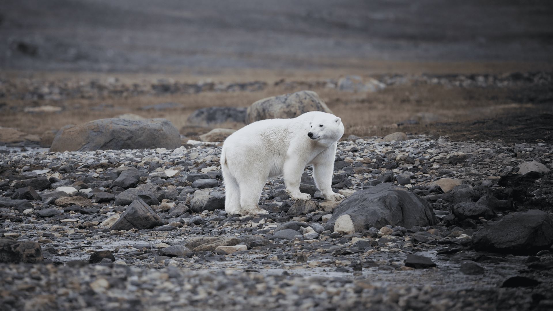 5150a5876acd0baf51031f17b47a63d508d2a5e2