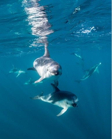 5251ff7f14699e959d1079e8027020a977ef7080