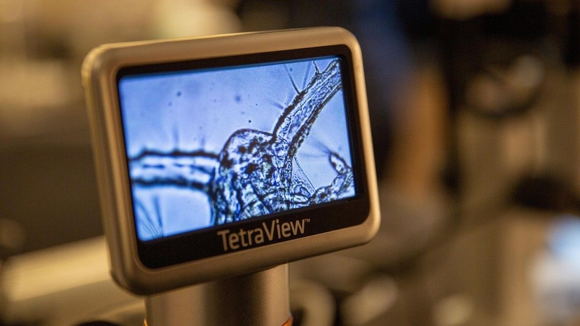 54753573021881bf1581f649687cd960a04da0d9