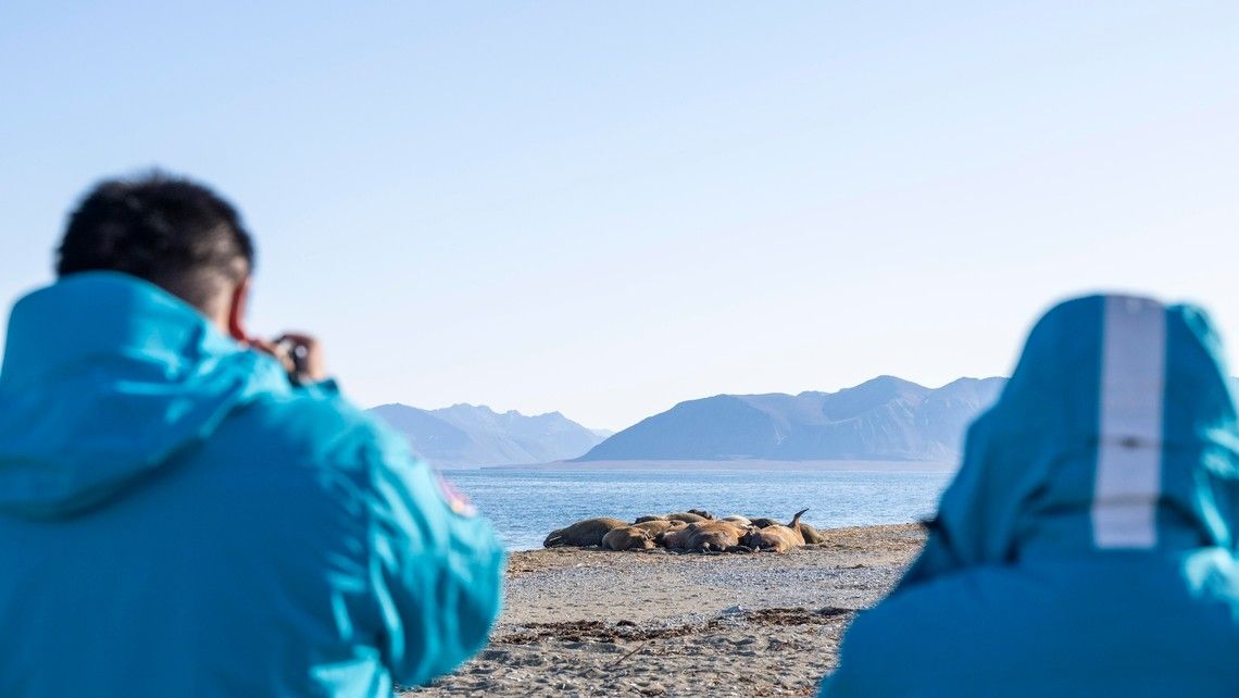 5886ae3ea89c00dc1ef52635ace8deb1dab40368