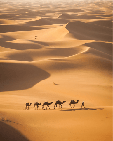 5a2ec1981155afe4548d53714a278b8e1d08ea09